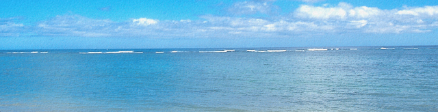 初島ダイビング・熱海ダイビングならマリンボー！