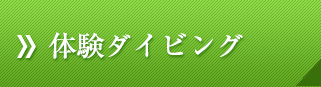 体験ダイビング