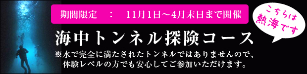 海中トンネル探検コース