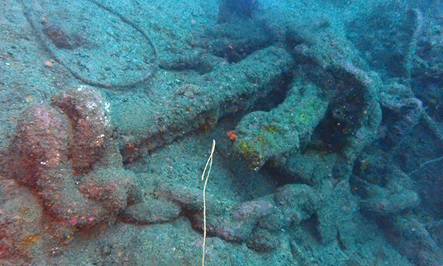 熱海市内のダイビングポイント