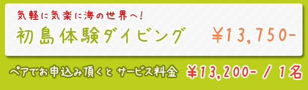 体験ダイビング